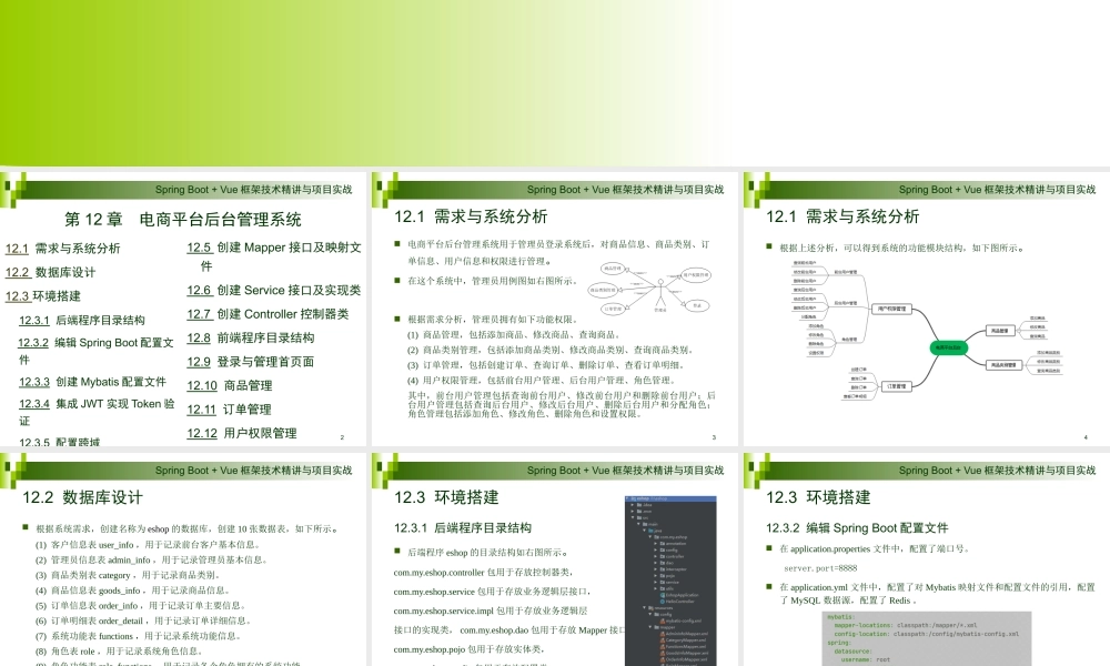 第12章 电商平台后台管理系统.pptx