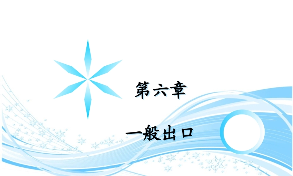 第6章 一般出口(1).ppt