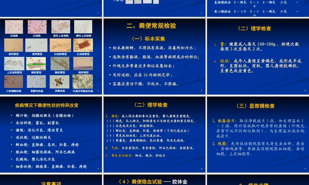 实验4 尿液与粪便常规检查(1).ppt