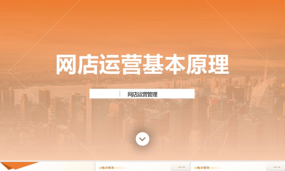 1-网店运营基本原理.pptx