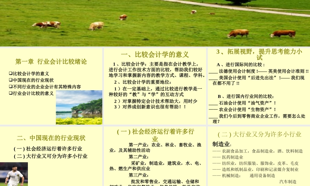 1章 行业会计比较绪论.ppt