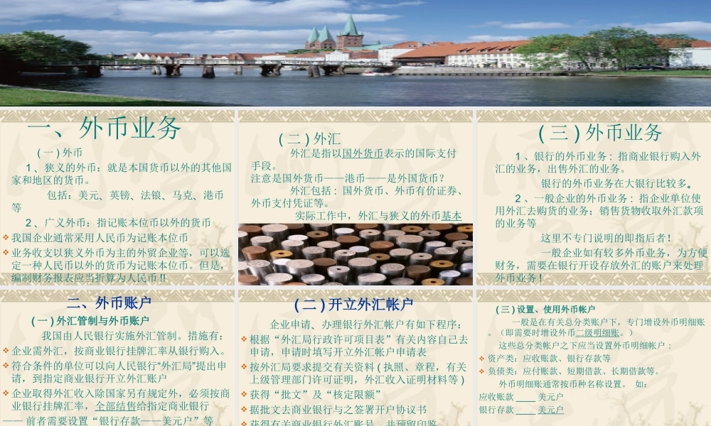 2节 外币业务核算方法.ppt