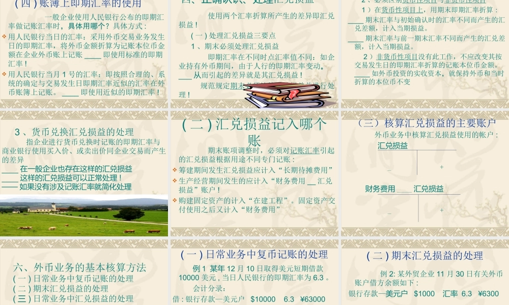 2节 外币业务核算方法.ppt