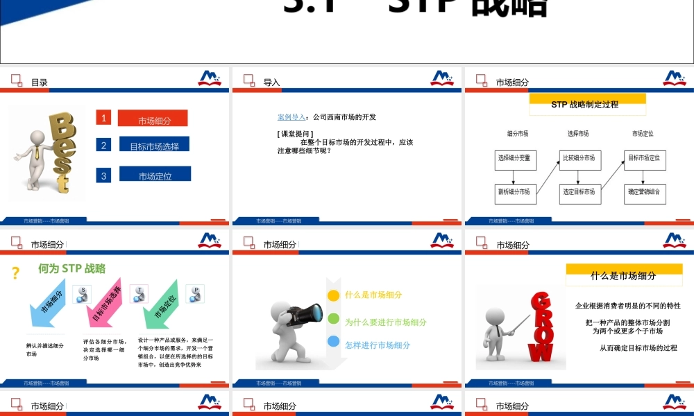 3.1STP战略.ppt