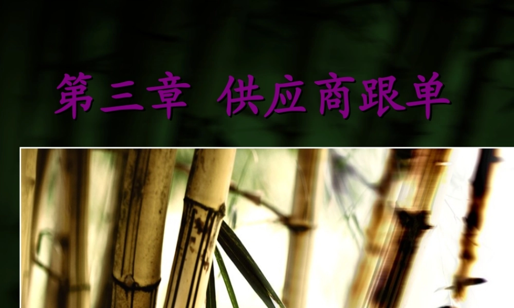 3 供应商跟单2013.3.5.ppt