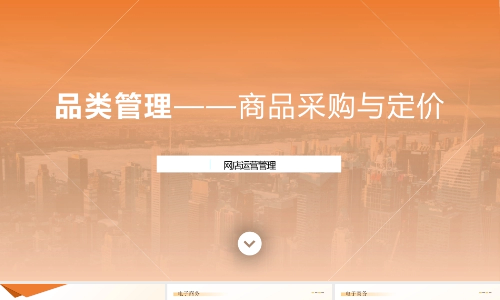 3-品类管理—商品采购与定价.pptx
