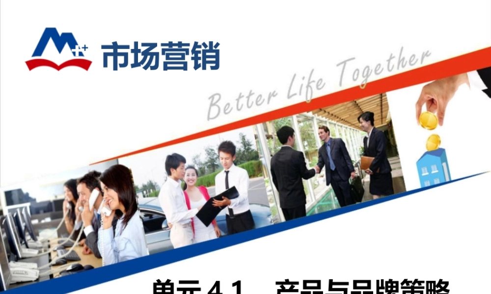 4.1 产品与品牌策略.ppt