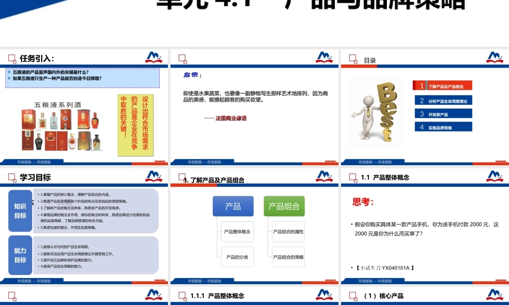 4.1 产品与品牌策略.ppt