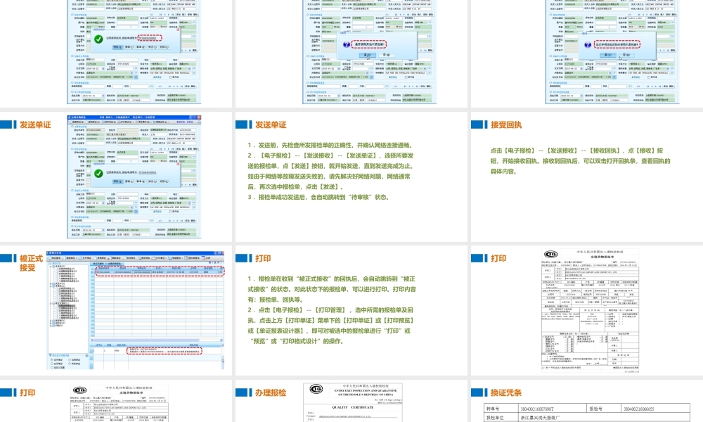 06办理报检.pptx
