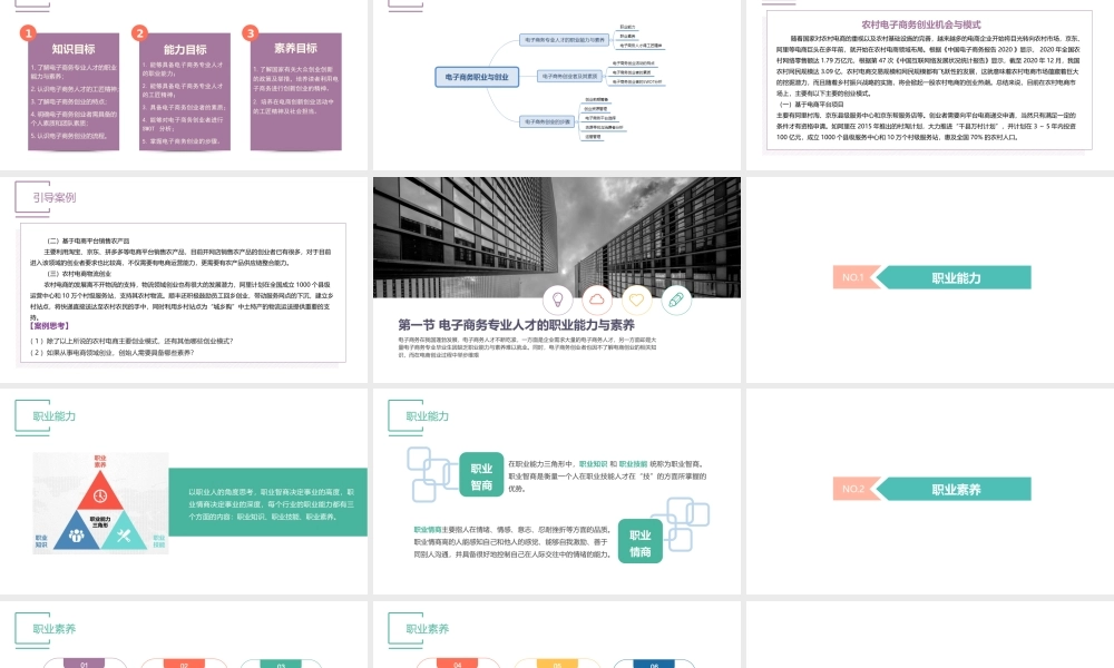 10.第十章 电子商务职业与创业.pptx