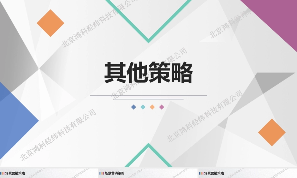 SEM其他策略.pptx