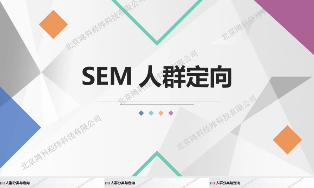 SEM人群定向.pptx
