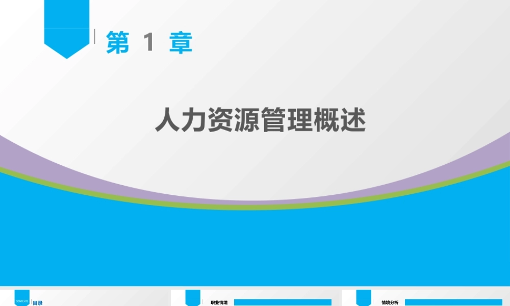 第1章 人力资源管理概述.pptx