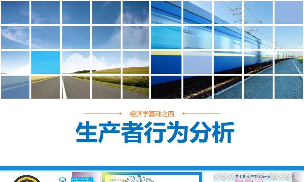 第4章 生产者行为分析.ppt