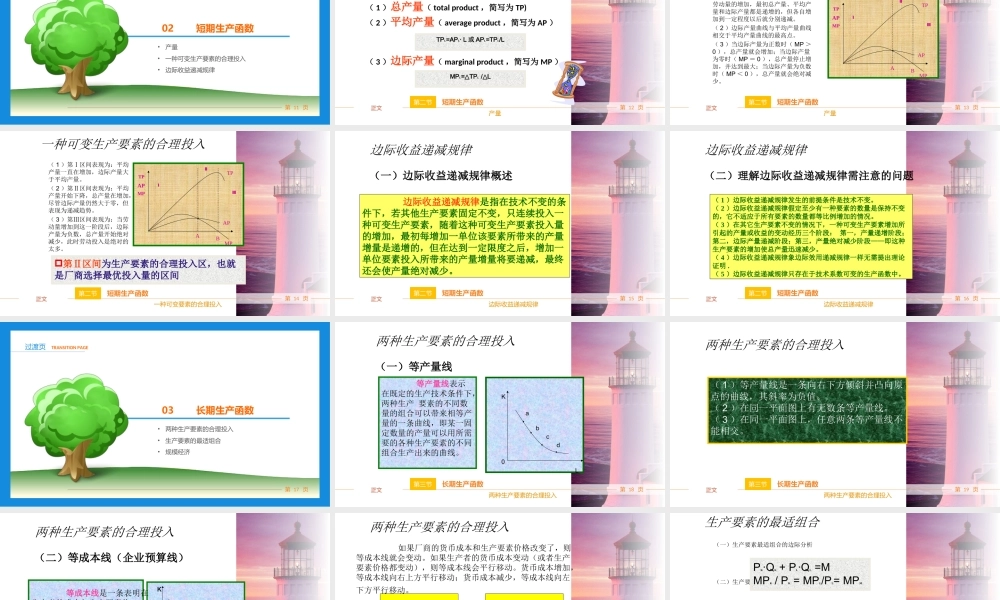 第4章 生产者行为分析.ppt