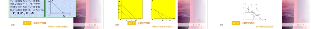 第4章 生产者行为分析.ppt