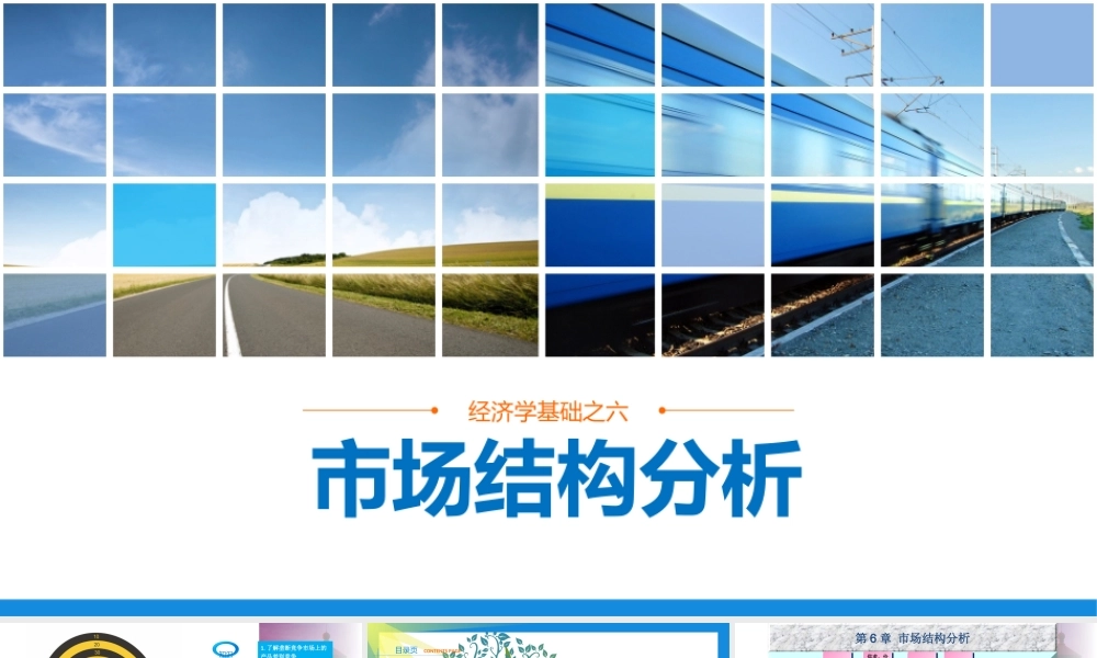 第6章 市场结构分析.ppt