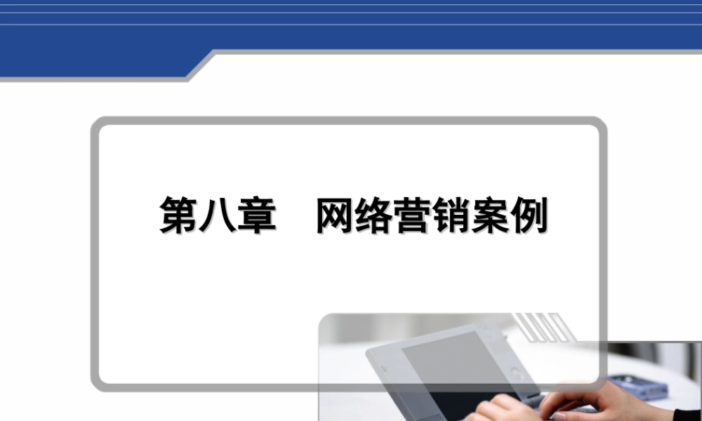第八章网络营销案例.ppt