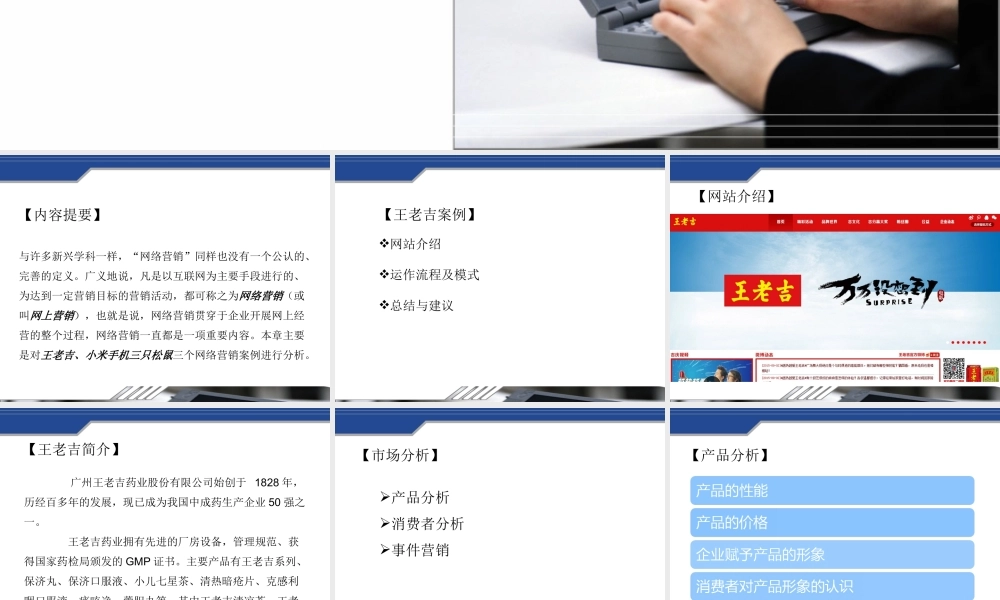 第八章网络营销案例.ppt
