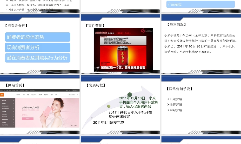 第八章网络营销案例.ppt