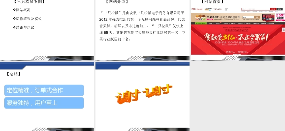 第八章网络营销案例.ppt