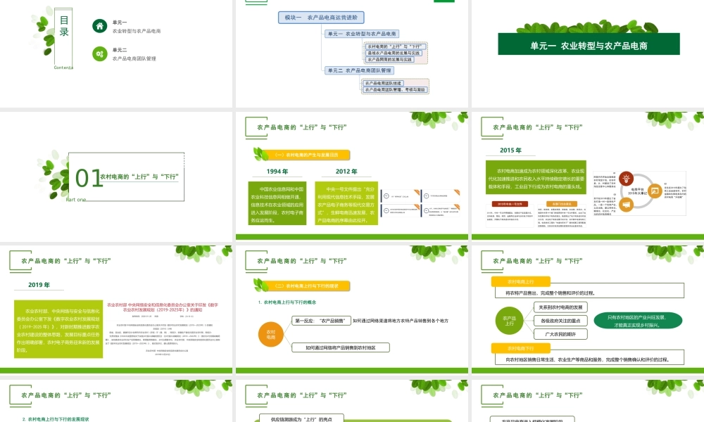 单元一 农业转型与农产品电商.pptx
