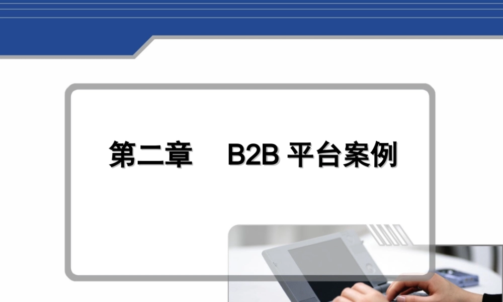 第二章B2B平台案例.ppt