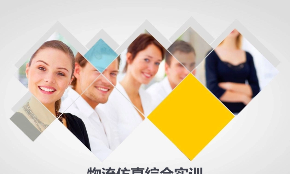 第十一章 物流仿真综合实训.pptx