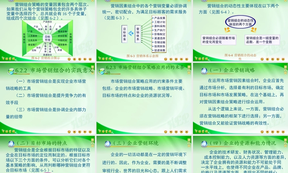 第六章 市场营销组合策略.ppt