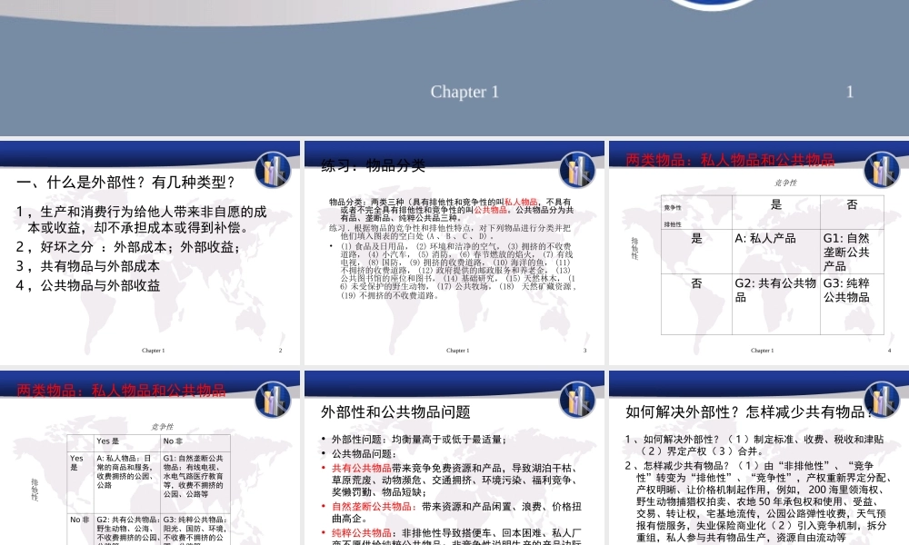 第五章外部性和公共物品.ppt