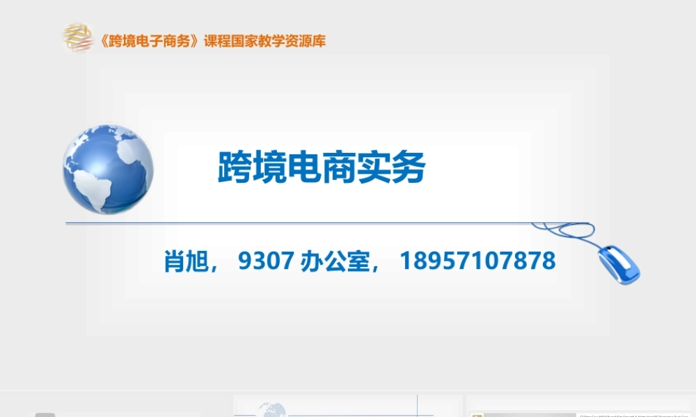 跨境电商实务导论2017.pptx
