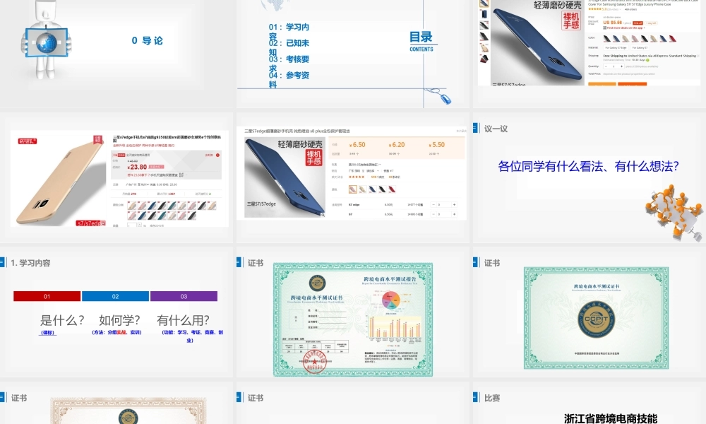跨境电商实务导论2017.pptx