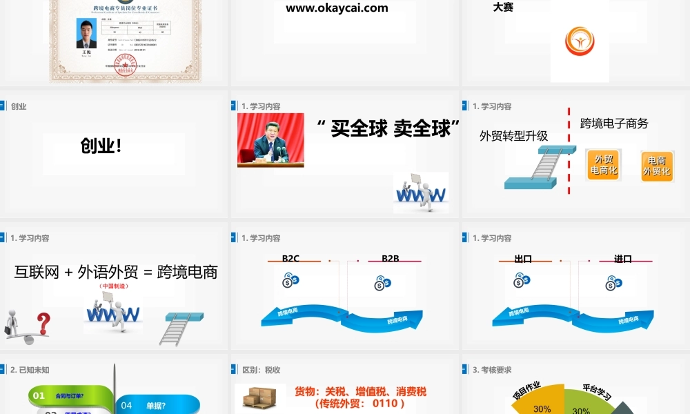 跨境电商实务导论2017.pptx