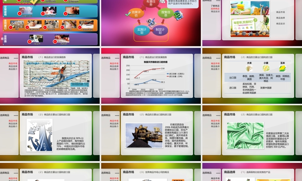 贸易准备-选择商品.pptx