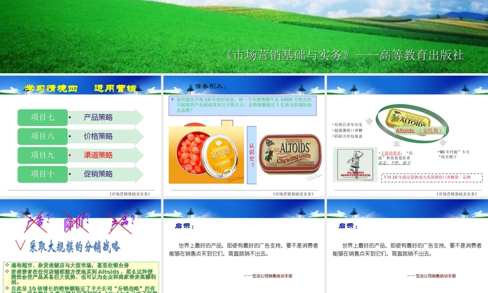 项目九渠道策略.ppt