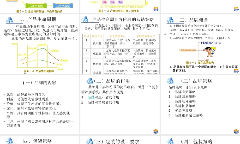项目六产品策略分析.ppt