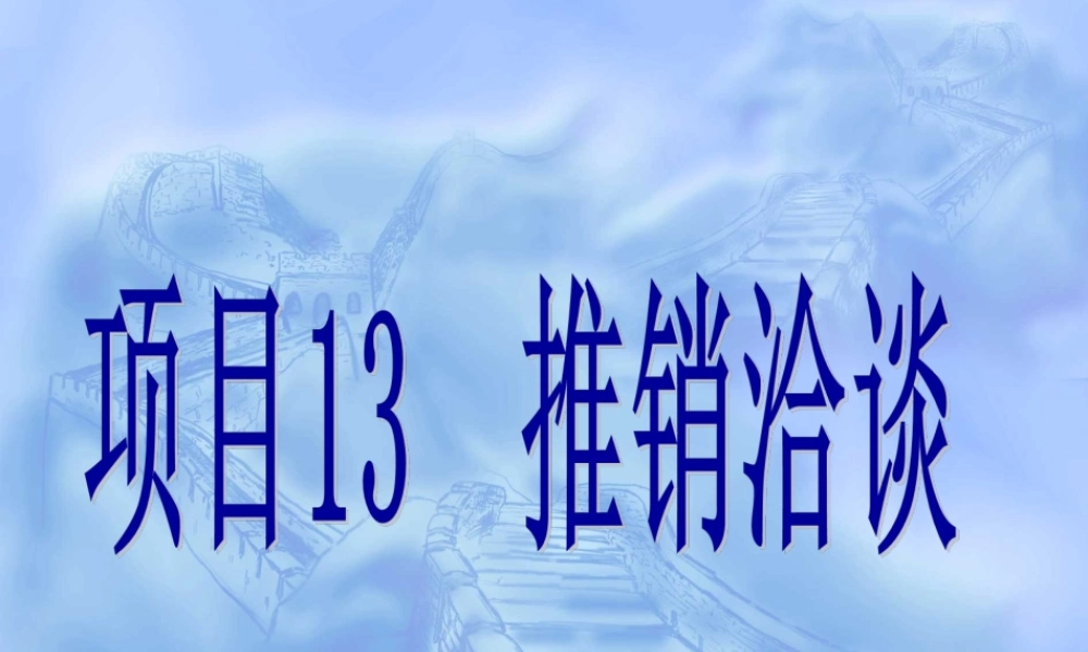 项目13推销洽谈.ppt