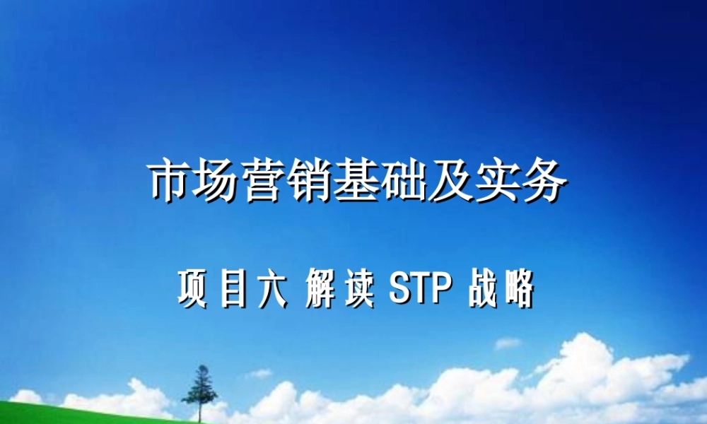 项目六 STP市场战略.ppt