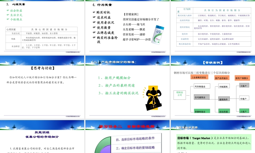 项目六 STP市场战略.ppt