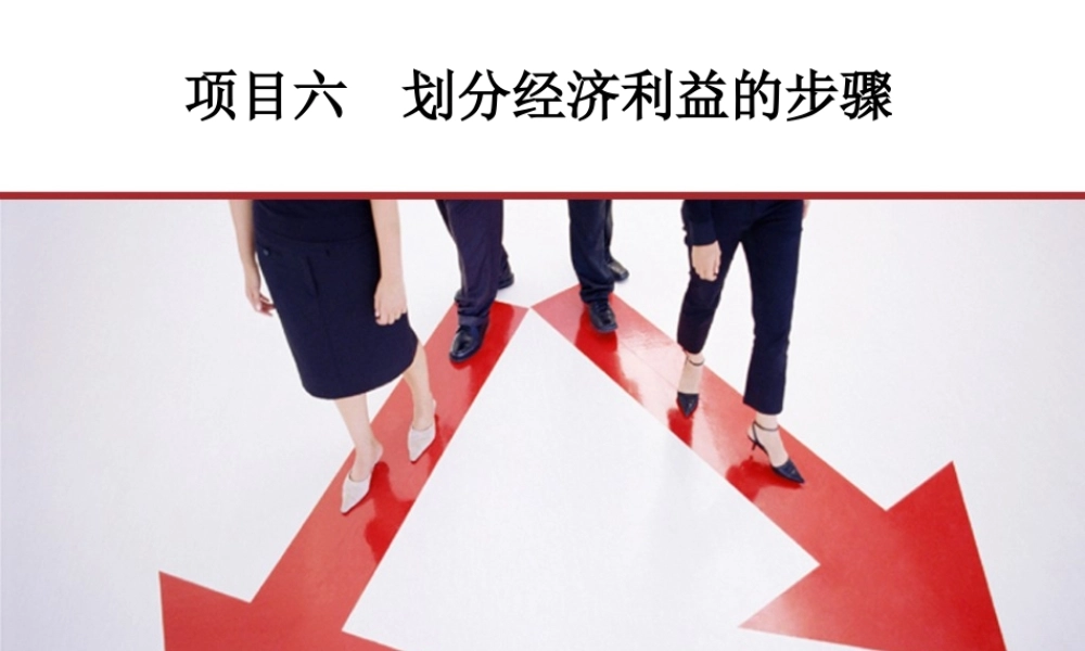 项目六_划分经济利益的步骤.ppt