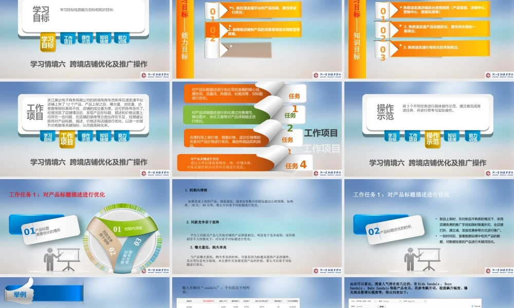 学习情境六跨境店铺优化及推广操作-新.pptx