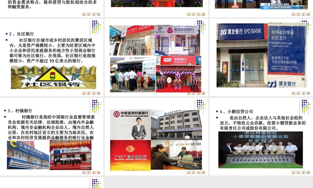 新型中小金融机构.ppt