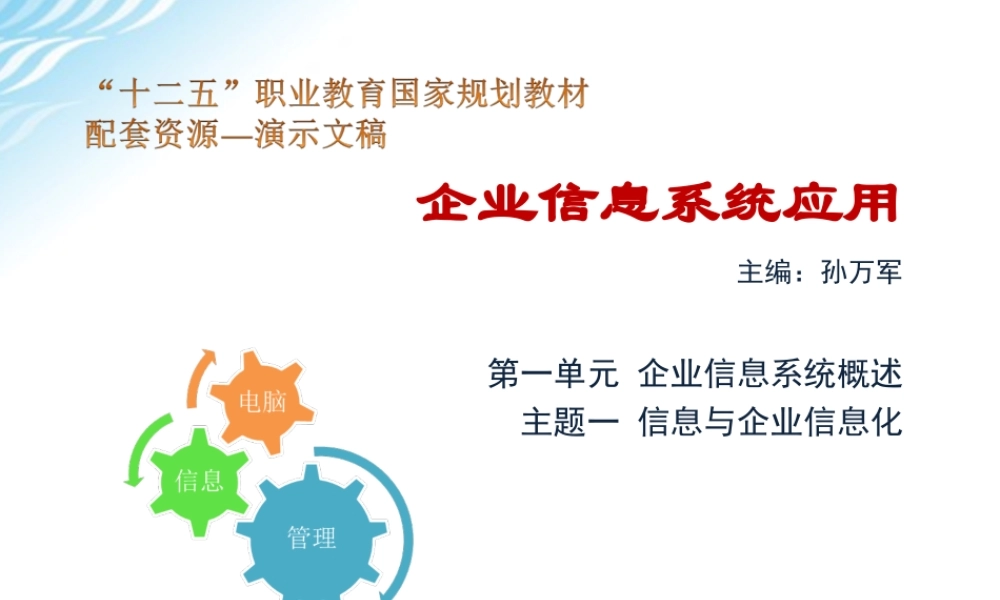 主题一 信息与企业信息化.ppt