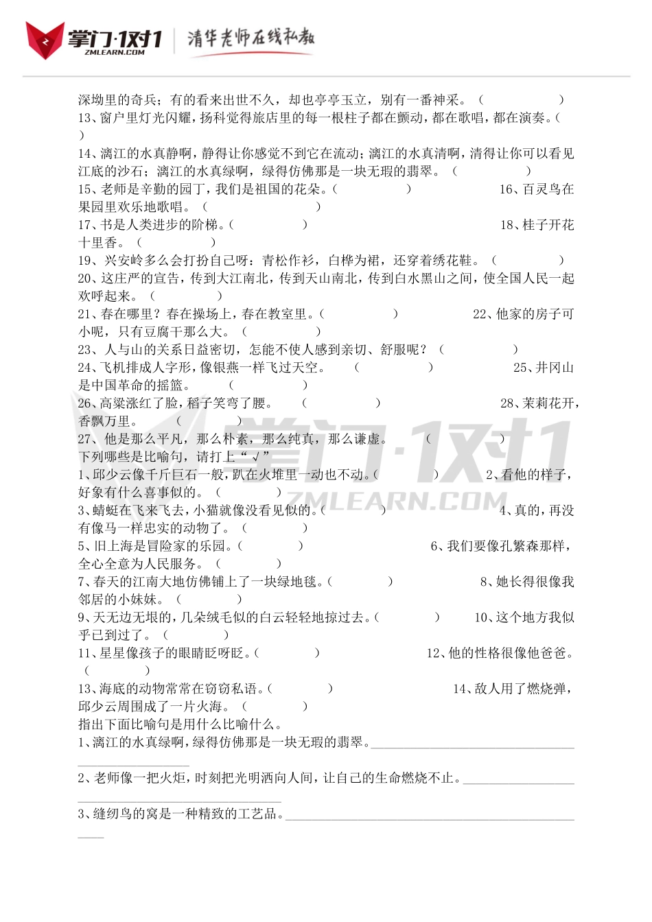 小升初知识点专项复习：修饰句子总复习.doc_第2页