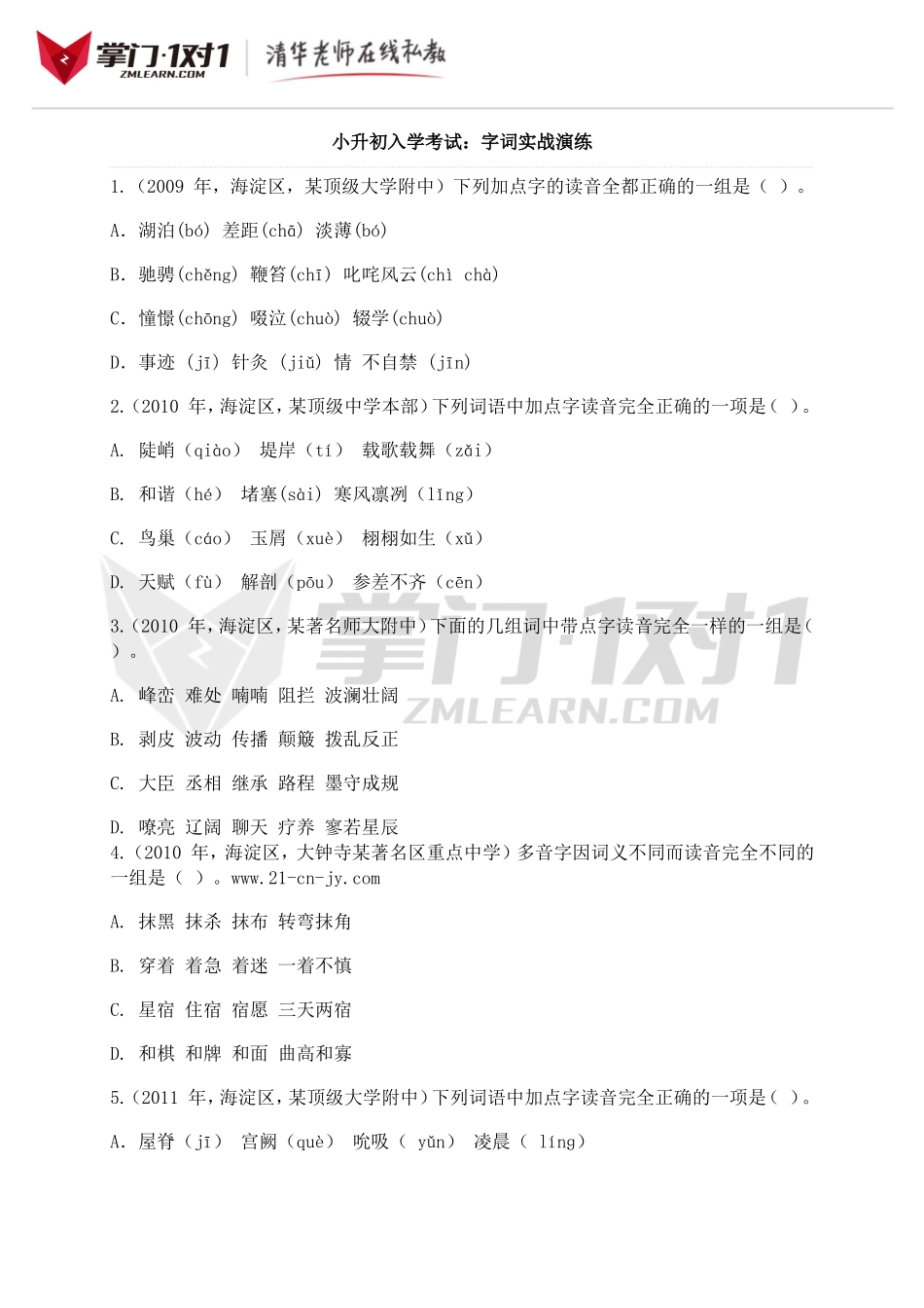 小升初知识点专项复习：字词实战演练.doc_第1页