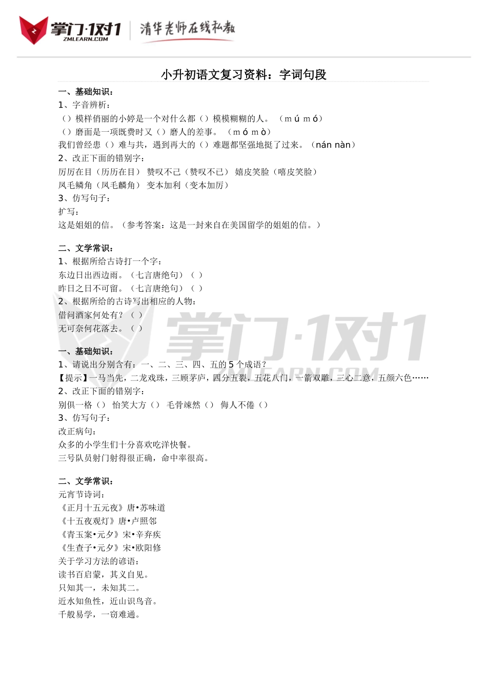 小升初知识点专项复习：字词句段.doc_第1页