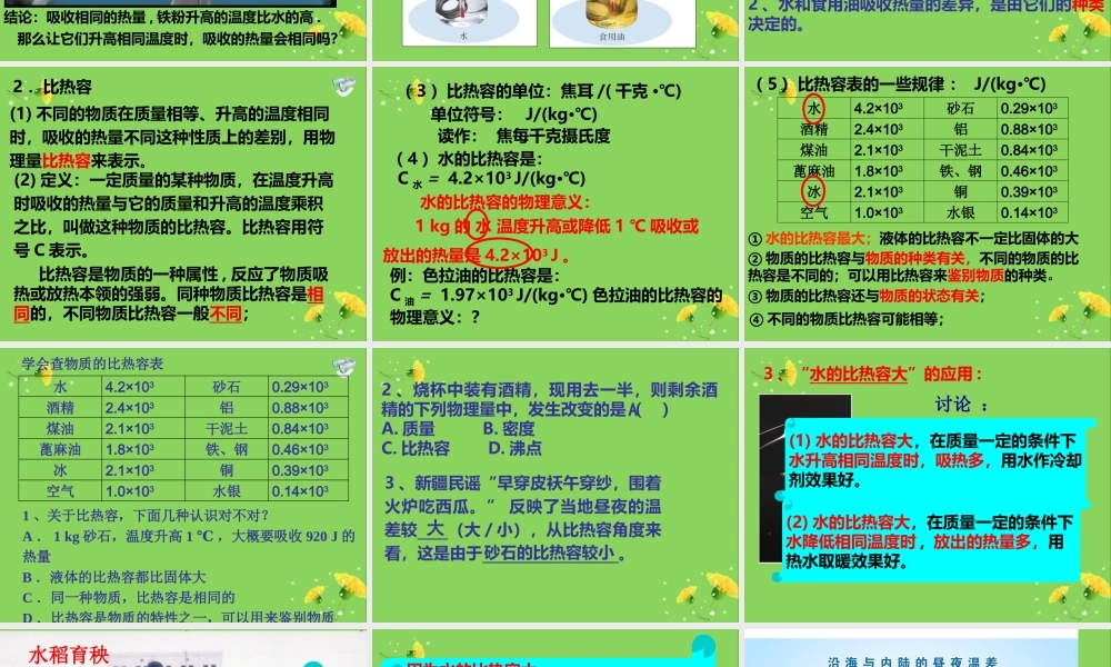 第十三章内能第3节比热容.ppt
