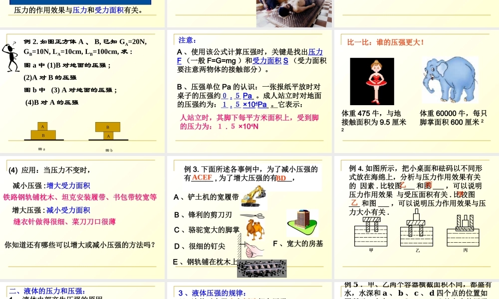 广东省2018届中考物理名师课件：压强.pptx