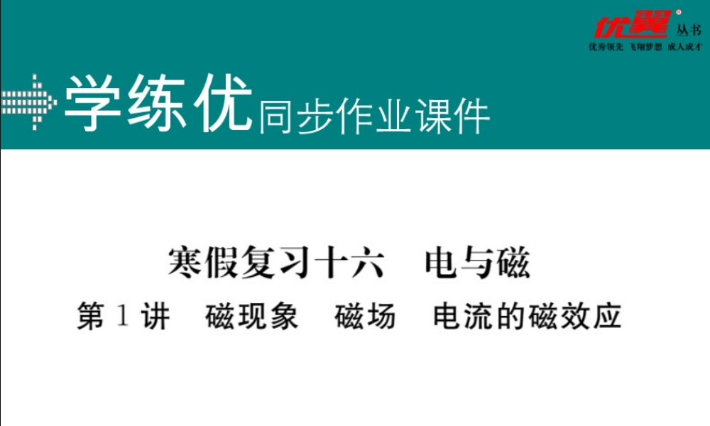寒假复习16第1讲磁现象磁场电流的磁效应.pptx