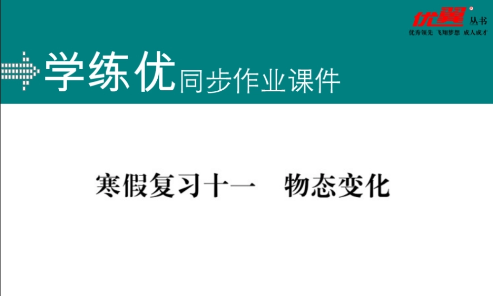 寒假复习11物态变化.pptx